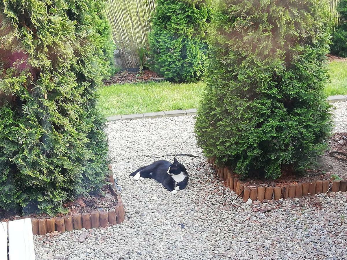 Domki Fala Family Dziwnowek Bagian luar foto